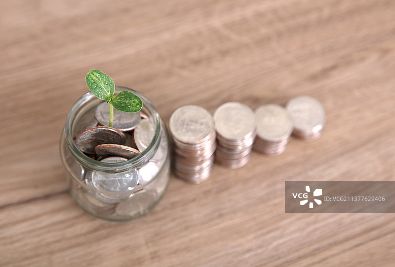 一排美元硬币和一个长出嫩芽满装美元硬币的玻璃瓶储蓄罐图片素材