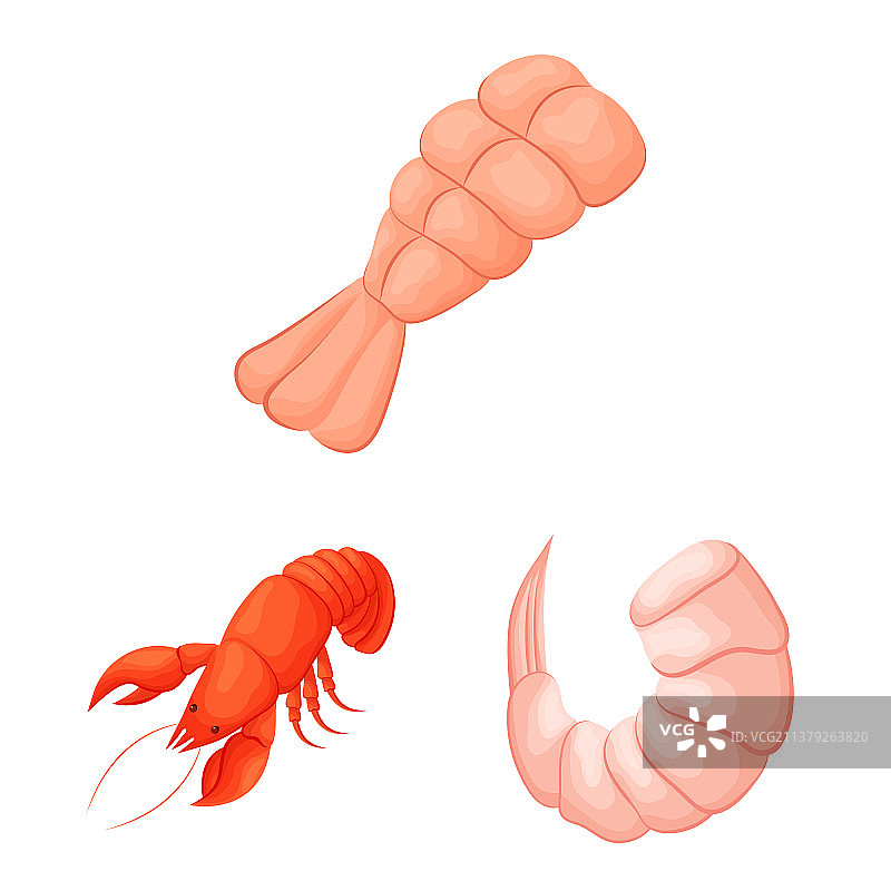孤立对象虾和螃蟹图标集图片素材