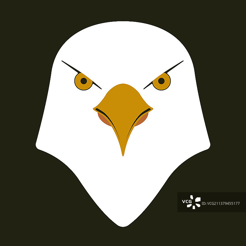 美国鹰头图标在扁平风格孤立图片素材
