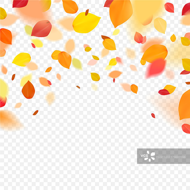 桔黄色的五颜六色的叶子飞落的效果图片素材