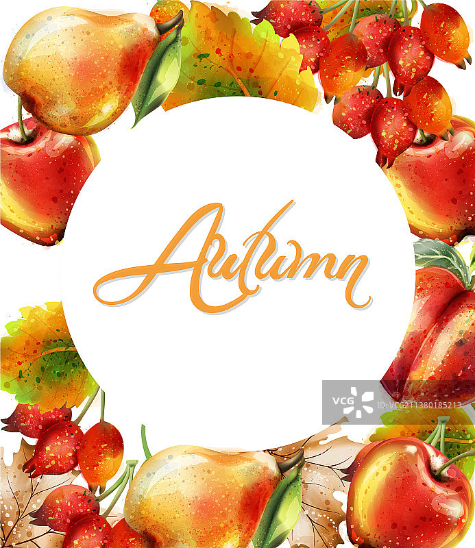 秋天的背景是苹果、梨和桃子图片素材