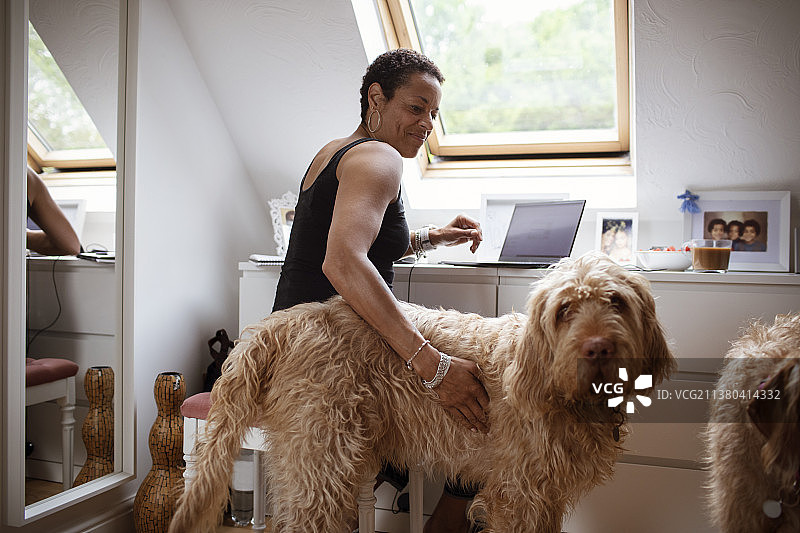 女人爱抚着拉布拉多犬，在家工作图片素材