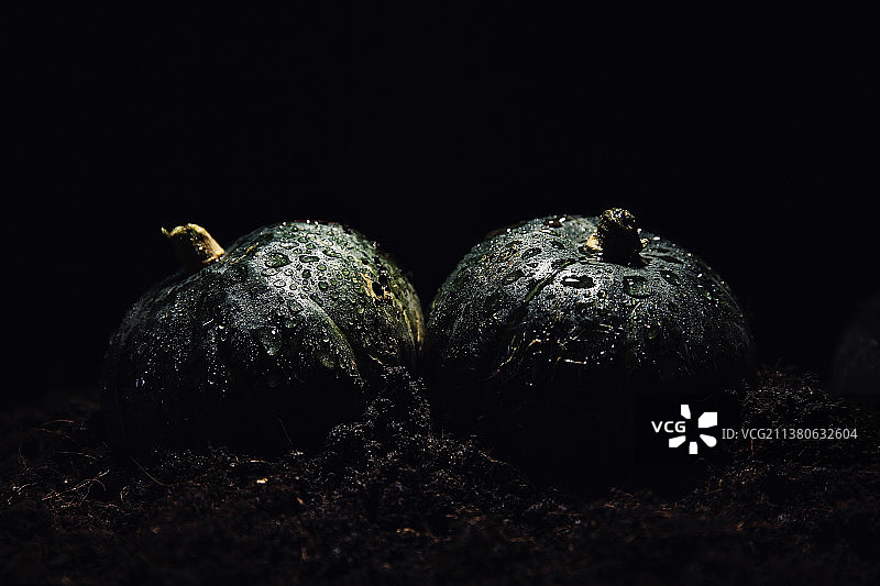 蔬菜创意艺术肖像静物：板栗贝贝南瓜图片素材