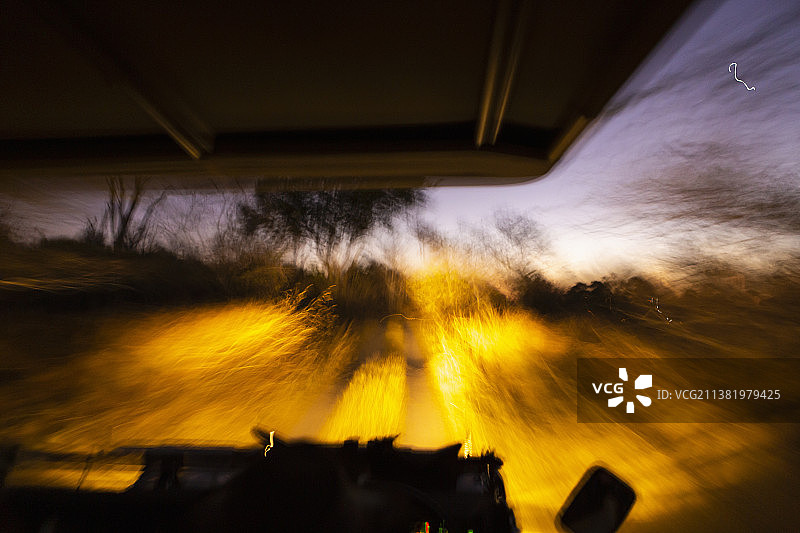 博茨瓦纳，奥卡万戈三角洲，日落后，一辆带灯的汽车在路上行驶。图片素材