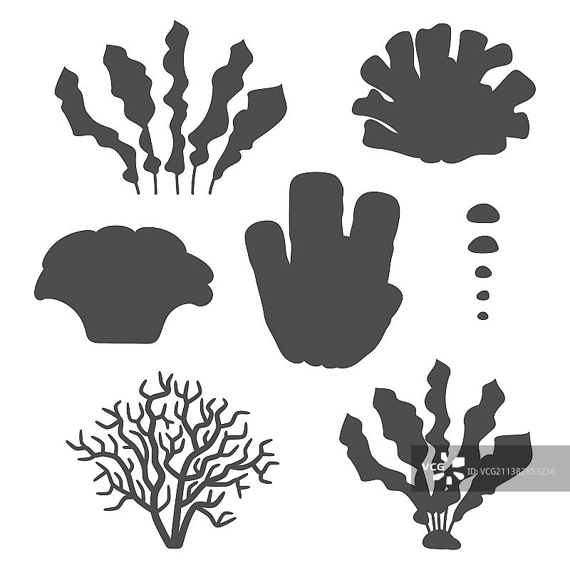 一组珊瑚和藻类图片素材