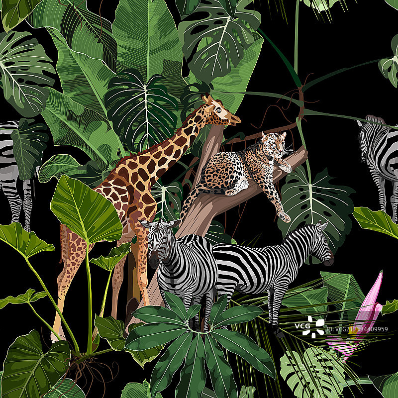 热带野生动物斑马长颈鹿豹图片素材