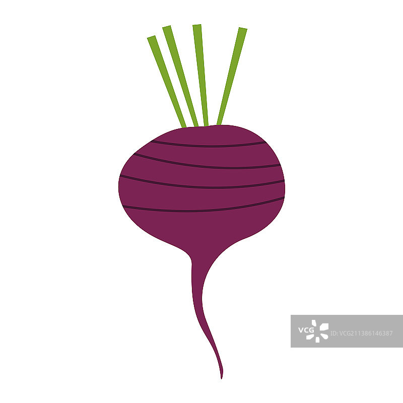 紫色甜菜在一个简单的手绘风格孤立图片素材