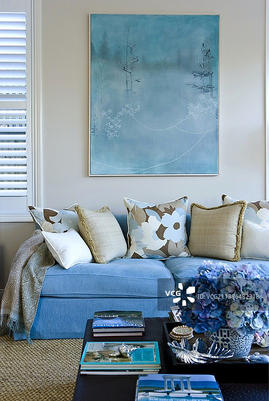 各种散在沙发软垫在浅蓝色下面的图画在墙上和后面的花在咖啡桌上图片素材