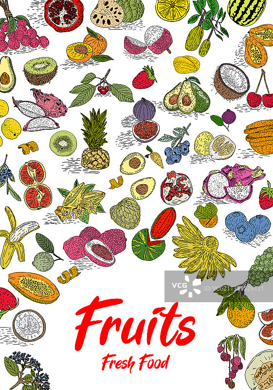 水果收集在平面手绘风格的集合图片素材