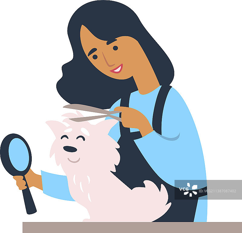 宠物护理和卫生妇女修剪狗毛图片素材