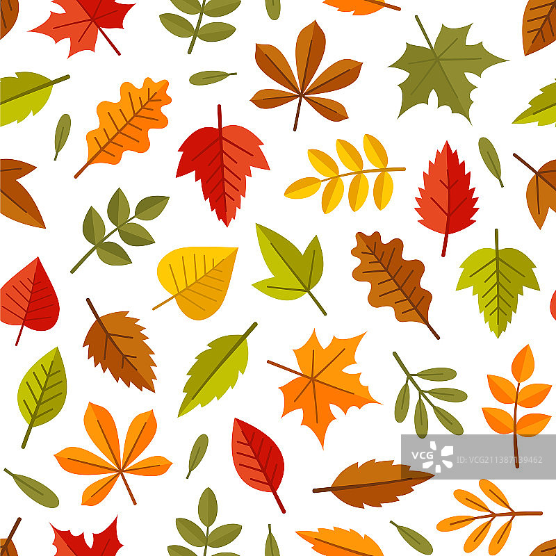 秋叶无缝图案上的白色背景图片素材