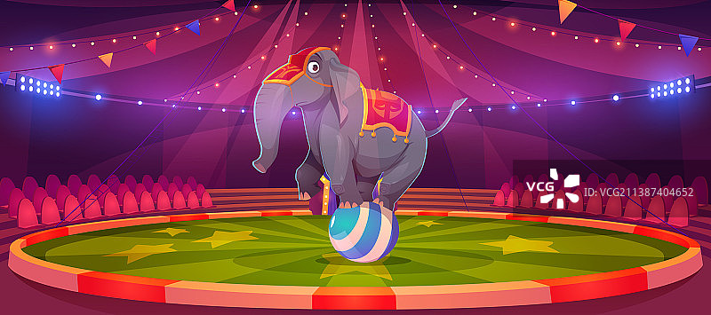 马戏团的大象站在大顶级竞技场的球上图片素材