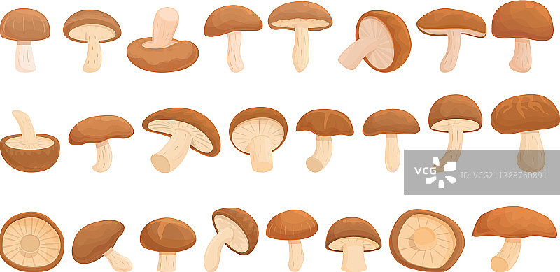 香菇图标集卡通木耳图片素材