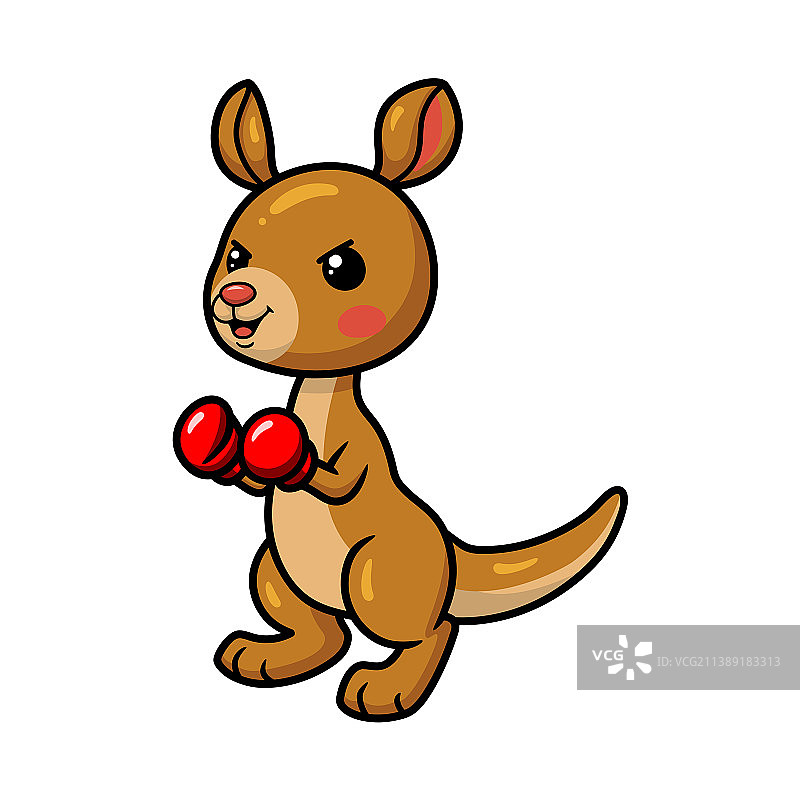 可爱的小拳击手袋鼠卡通图片素材
