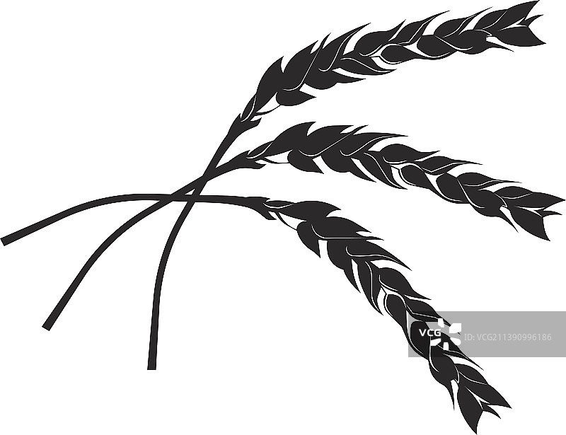 小麦穗形有机食品谷物形象图片素材
