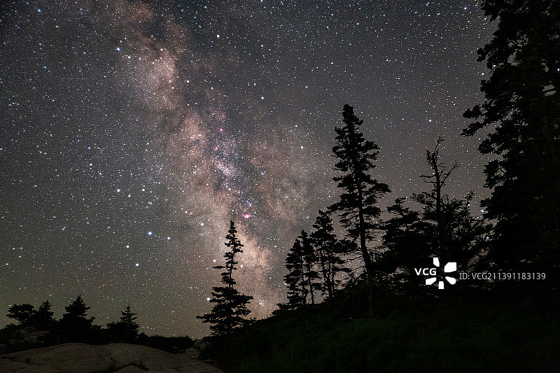 低角度的树木剪影对天空在晚上，阿斯波托根，加拿大图片素材