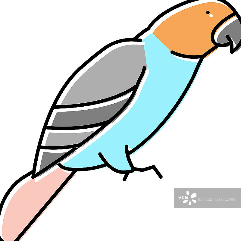鹦鹉鸟的宠物颜色图标图片素材