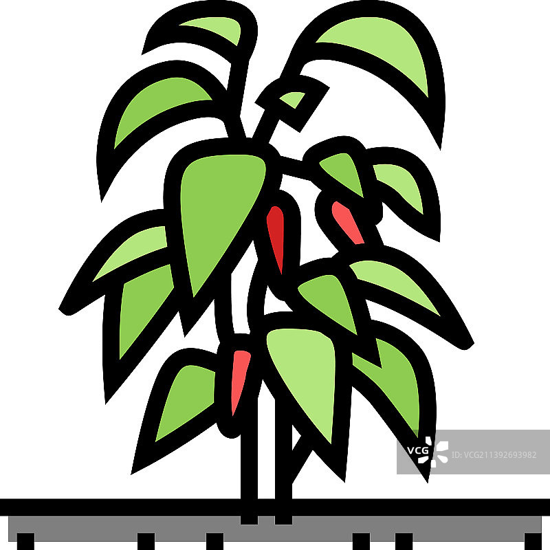 植物辣椒辣椒色图标图片素材