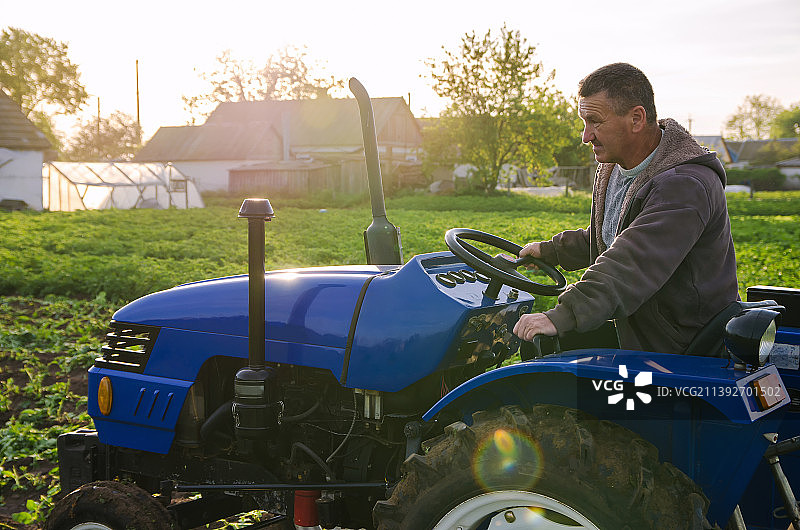 乌克兰，一位农民开着拖拉机穿过农田图片素材