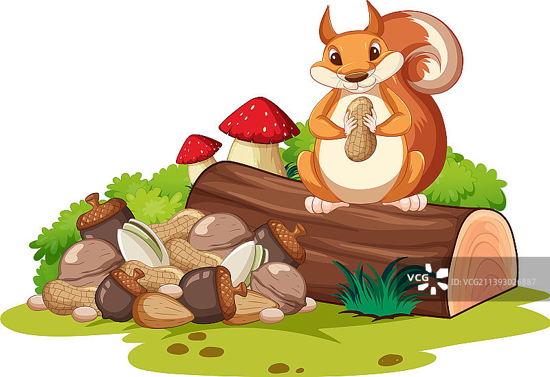 可爱的松鼠在木头上吃坚果图片素材