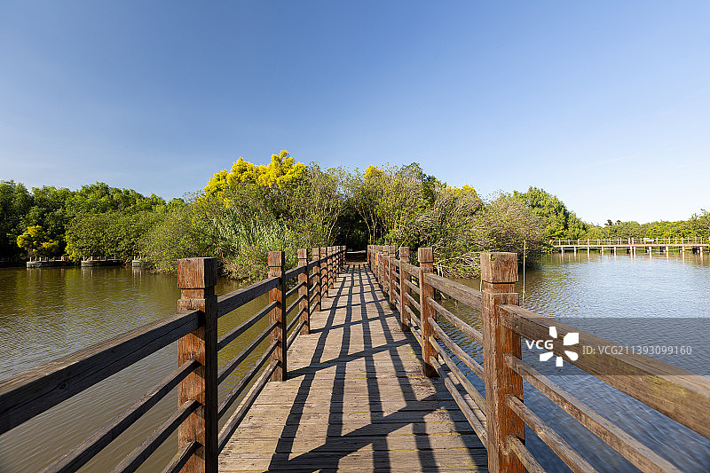 公园湖面上的木制栈桥图片素材