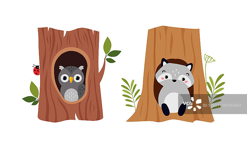 可爱的小猫头鹰和浣熊坐在树洞里图片素材