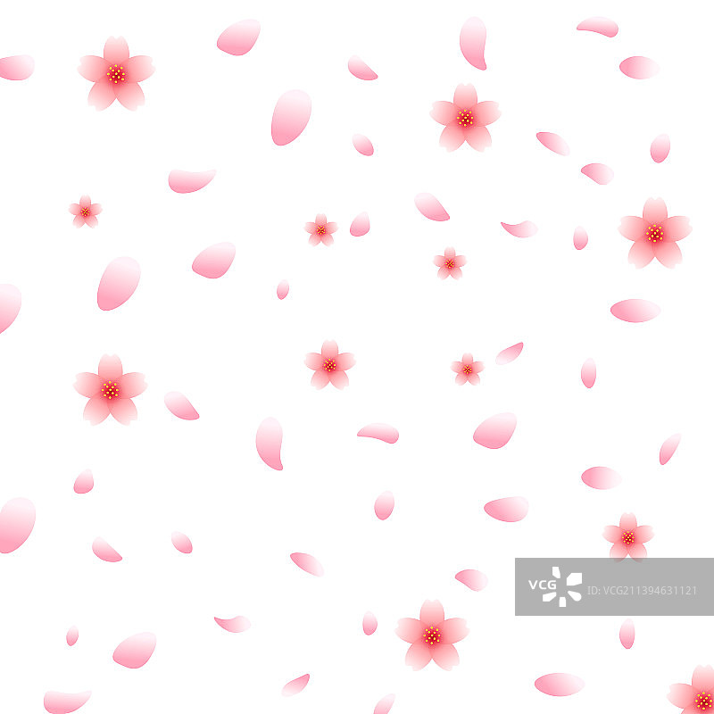 粉红色的樱花落花背景图片素材