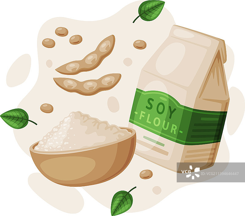 从大豆植物中提取的含面粉的天然大豆制品图片素材