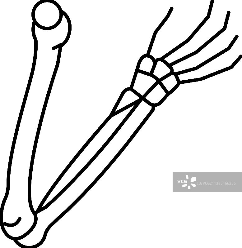 手臂骨线图标图片素材