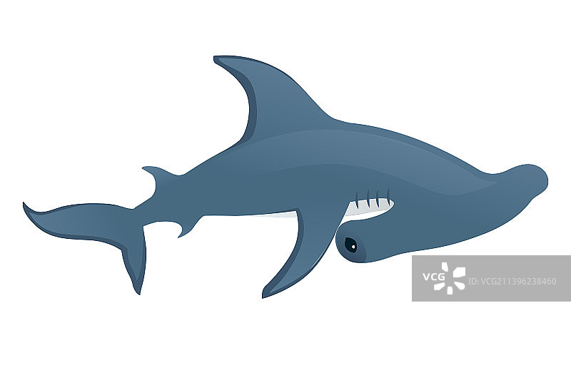 锤头鲨水下巨型动物简单图片素材