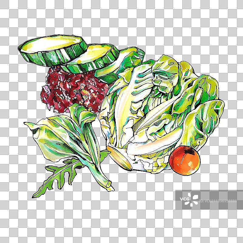 生菜 水果 蔬菜 有机 食物图片素材