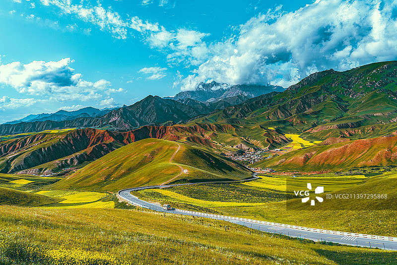 油菜花季的中国青海省海北藏族自治州祁连县卓尔山景区图片素材