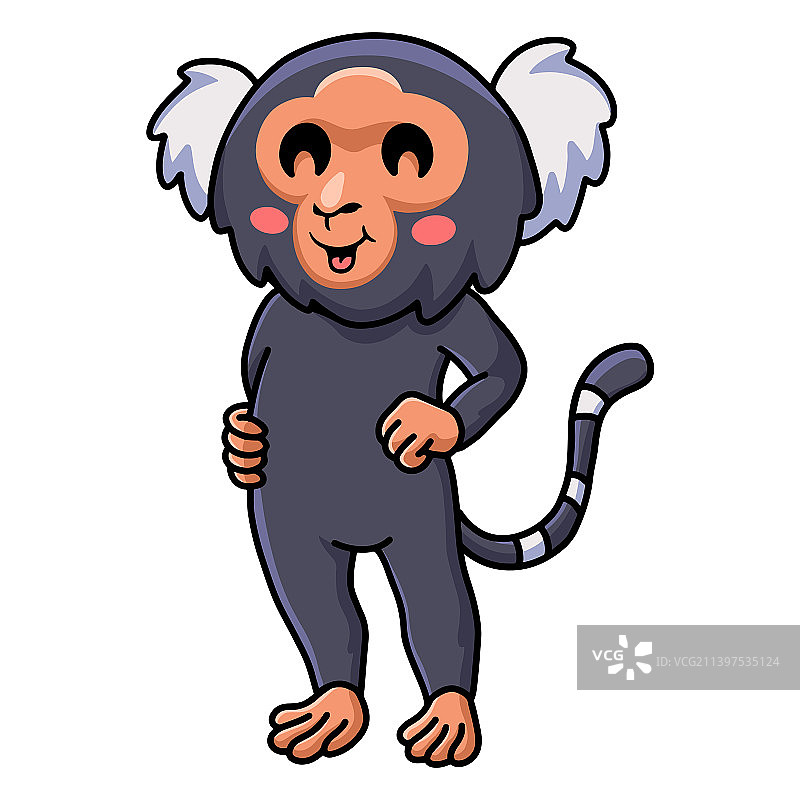 可爱的侏儒狨猴卡通站立图片素材