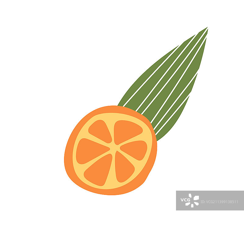 橙子水果切片和叶子涂鸦手绘图片素材