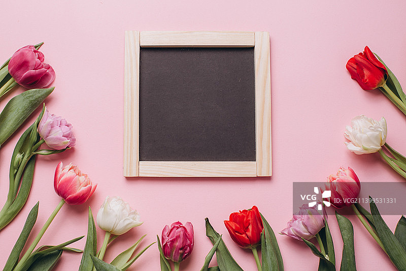 粉红色的郁金香特写与空白黑板在粉红色的背景图片素材