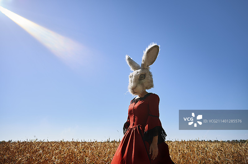 一名戴着兔兔头和维多利亚风格连衣裙的妇女在田野里图片素材