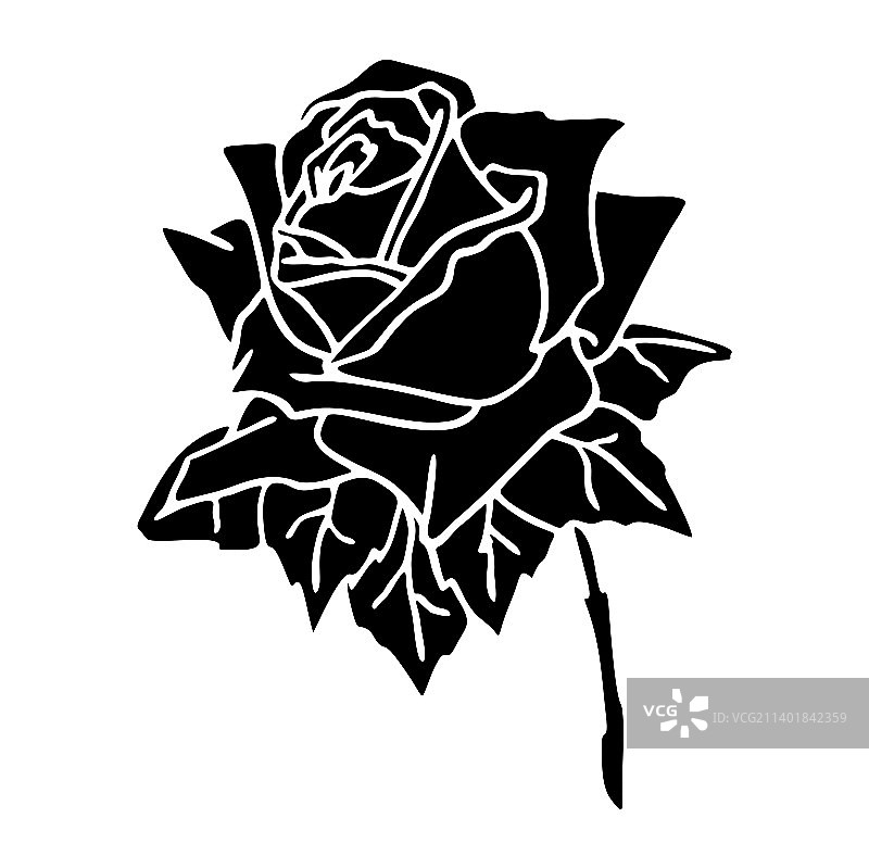 白色上玫瑰的黑色剪影特写图片素材