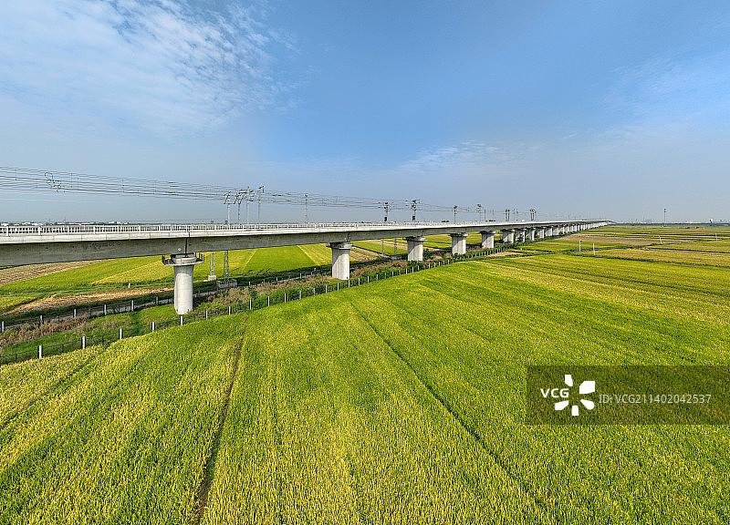 田野里的高铁铁路高架桥自然风光图片素材