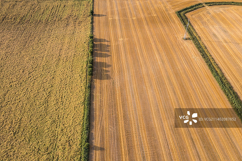 丹麦埃斯基尔斯特鲁普，收获期间的农业田地鸟瞰图图片素材