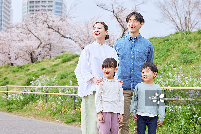 樱花盛开的日本家庭图片素材