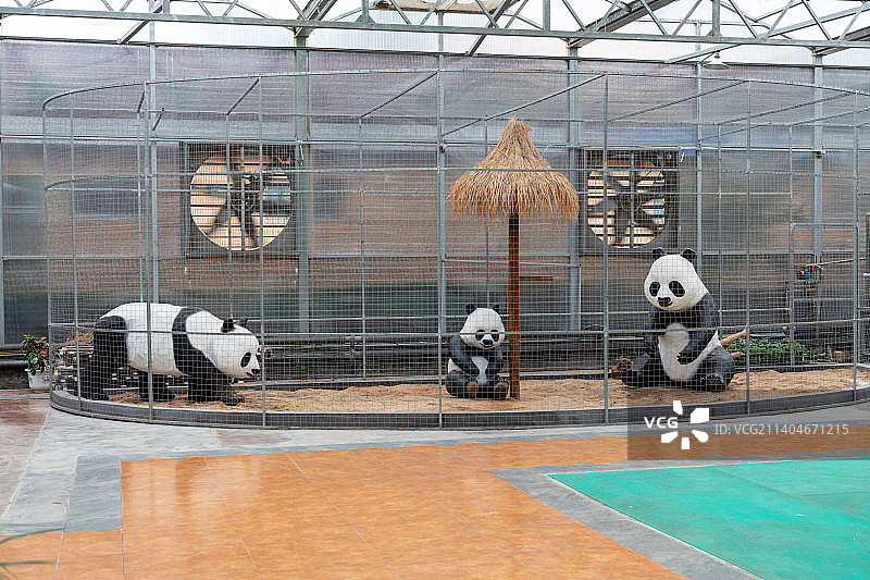中国山东寿光蔬菜高科技示范园3号馆景观之熊猫雕像图片素材