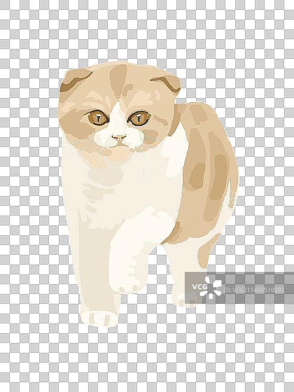 动物小猫插画元素图片素材