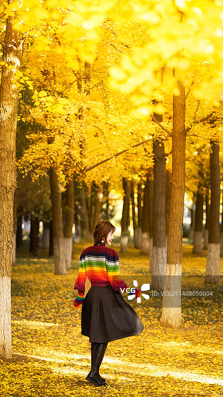 秋天站在公园里的年轻女子的后视图图片素材