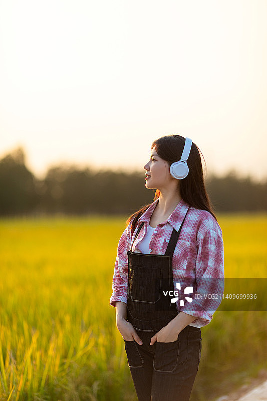 秋天金黄色稻田里一名中国美女在听音乐图片素材