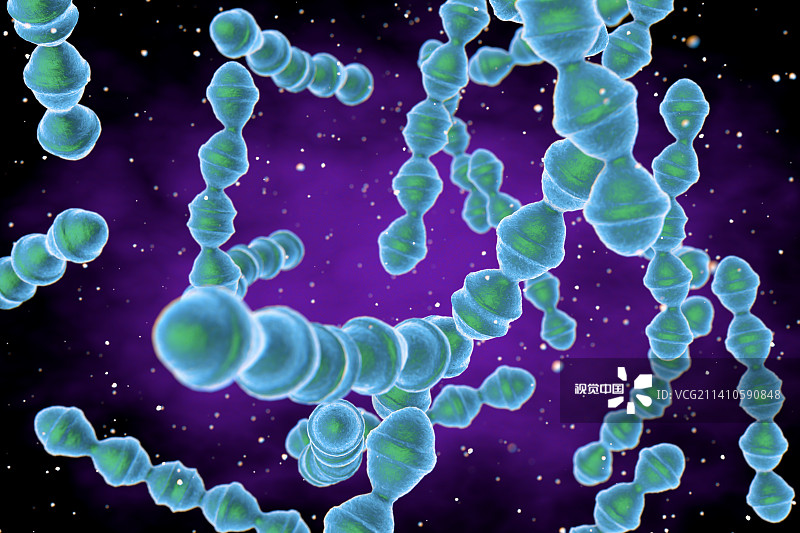 肺炎葡萄球菌，插图图片素材