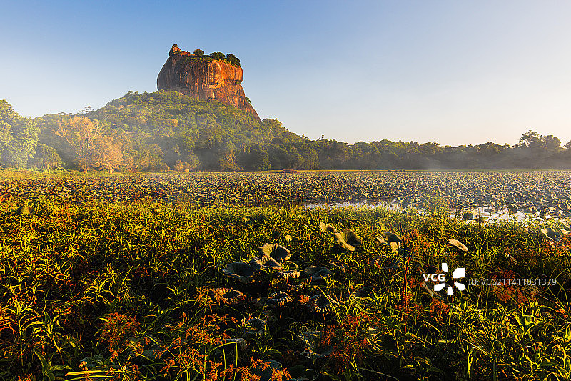斯里兰卡狮子岩自然风光图片素材