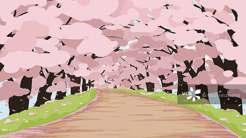 一片樱花树背景图片素材