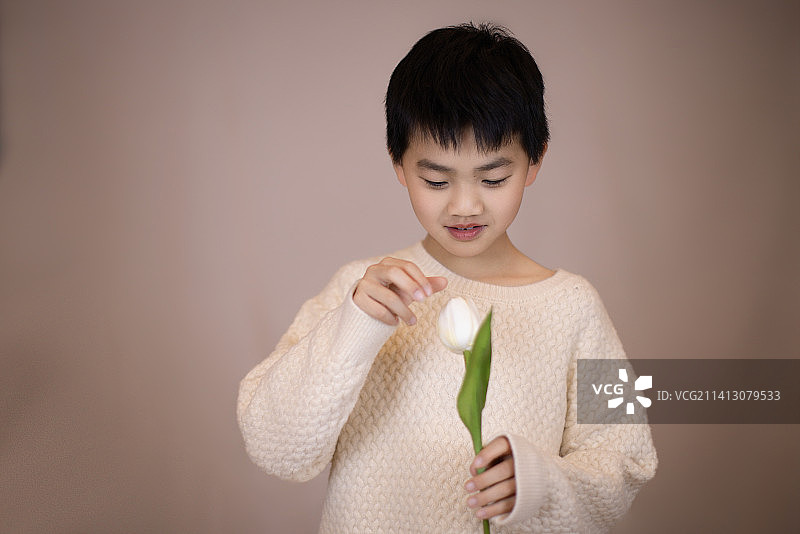 一个帅气的中国小男孩拿着一朵郁金香图片素材