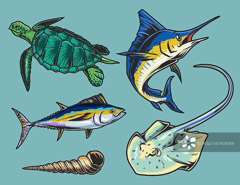 海洋动物群五颜六色的象征图片素材