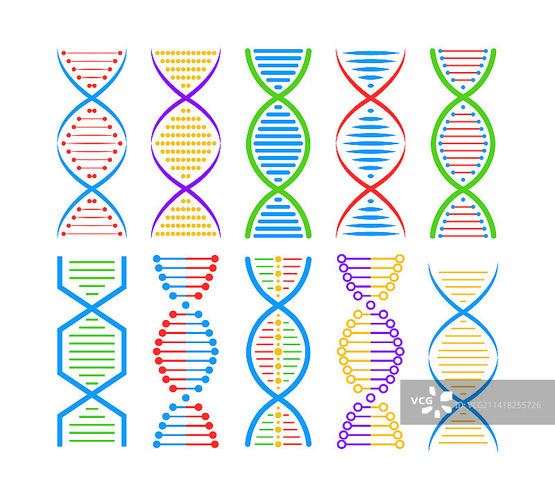DNA结构图标集合结构分子和图片素材